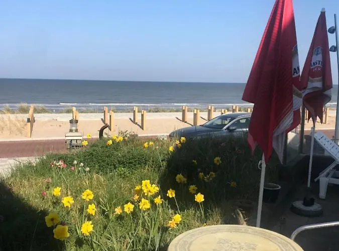 Accommodatie bij particulieren Zee En Duin *